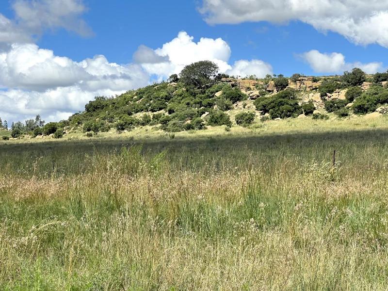 0 Bedroom Property for Sale in Lindley Free State